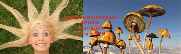 герыч Елабуга