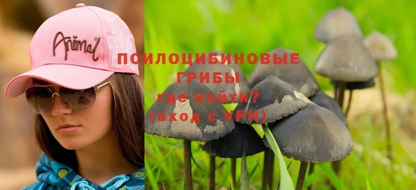 твердый Дмитров