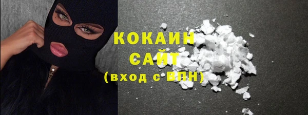 твердый Дмитров