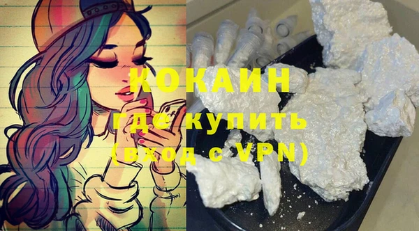 индика Ельня
