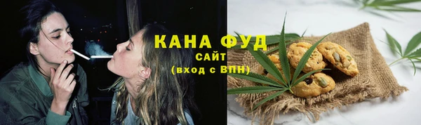 индика Ельня