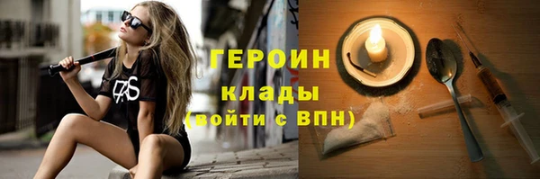 индика Ельня