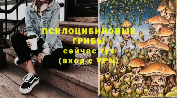 ГАЛЛЮЦИНОГЕННЫЕ ГРИБЫ Заволжье