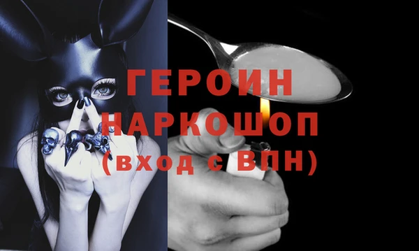 индика Ельня