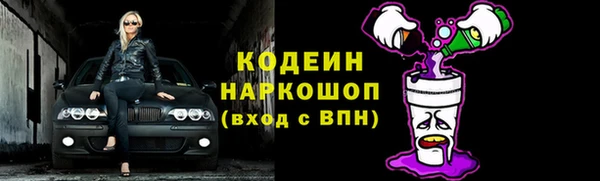амф Дмитриев
