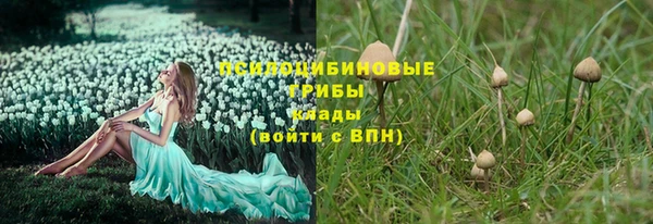 твердый Елизово