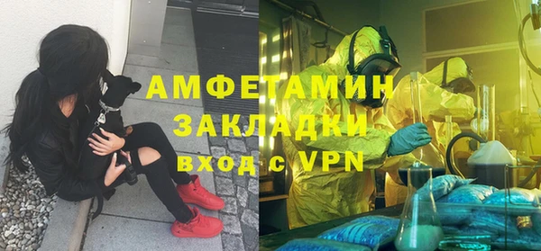 твердый Дмитров