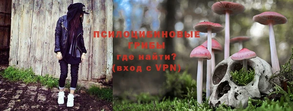 твердый Елизово