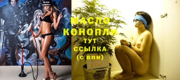 индика Ельня
