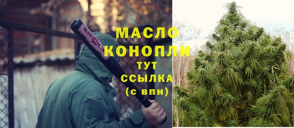 индика Ельня