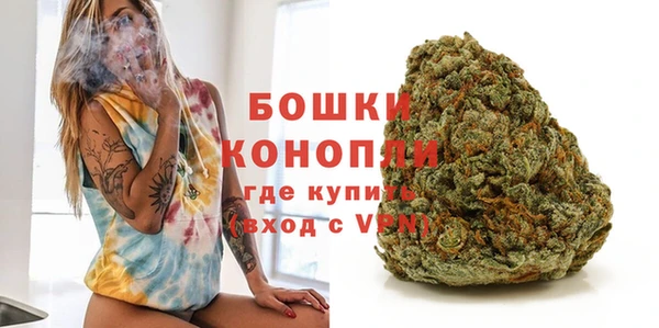 сатива Заводоуковск