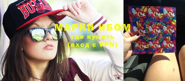 индика Ельня