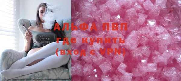 индика Ельня