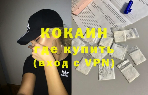 амф Дмитриев