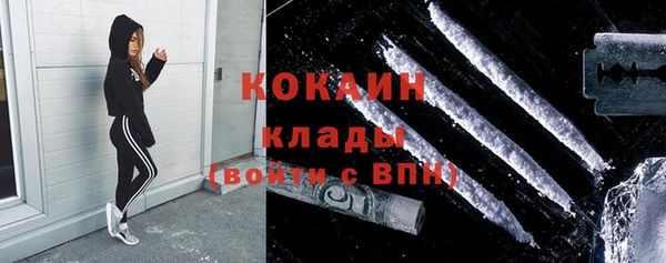 твердый Дмитров