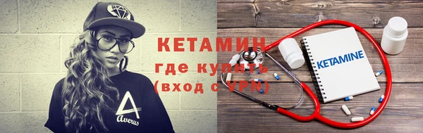 амф Дмитриев
