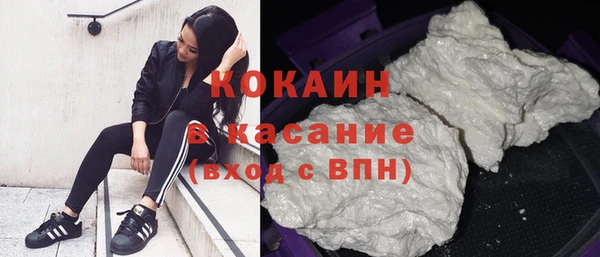 амф Дмитриев