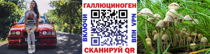 Галлюциногенные грибы MAGIC MUSHROOMS  Купить  Гаврилов-Ям 