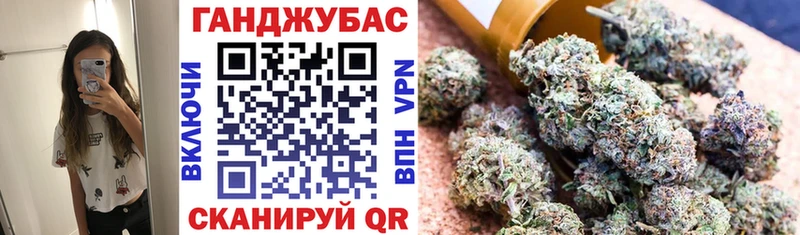 Купить  Гаврилов-Ям  Канабис план 